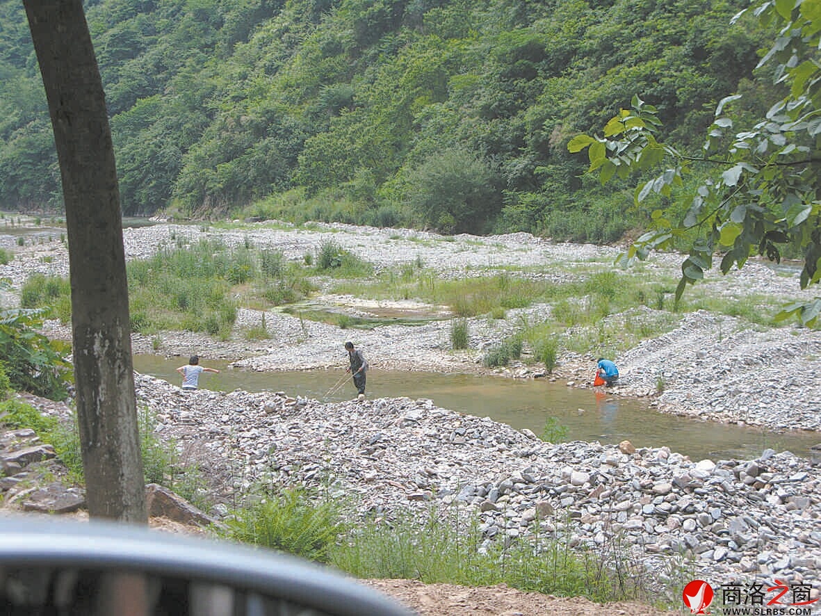 6月2日，柞水杏坪鎮(zhèn)金口村不到十里的河道電魚的就有四伙人