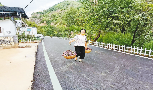 一條柏油路，串起果農新生活