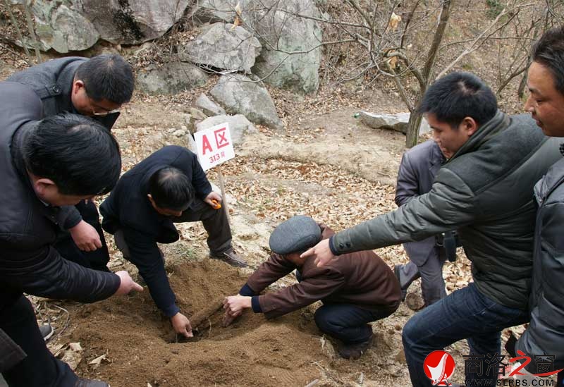商南縣政府開展送政策、送技術(shù)、送溫暖活動