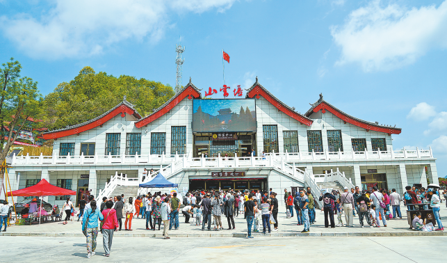 鎮(zhèn)安 實施“林業(yè)+”發(fā)展戰(zhàn)略 推進生態(tài)產品價值轉化